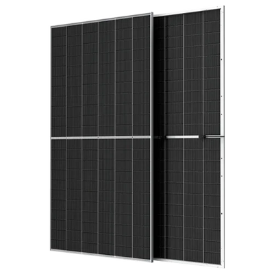 Pallet 33 Paneles Solares Bifaciales Trina 710W NEG21C.20 Vertex S+
