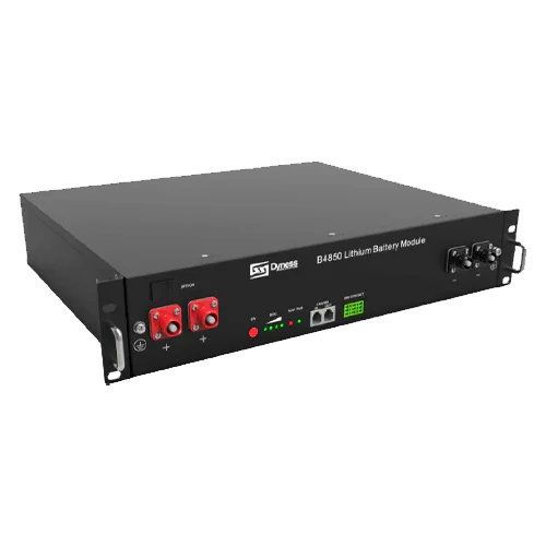 Batteria Litio Dyness B4850 48V 2,4kWh LiFePO4