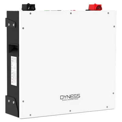 Dyness DL5.0C 48V 5.12kWh LiFePO4 Lithium Battery