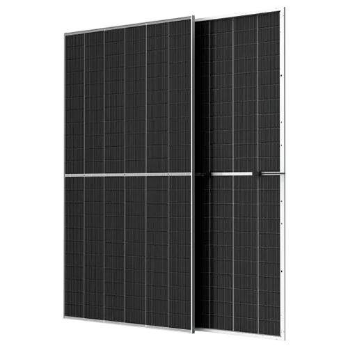 Pack 10 bifaziale Solarpanels Trina 710W NEG21C.20 Vertex S+